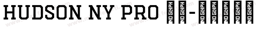 Hudson NY Pro 字体字体转换